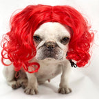 TESSVEYA funny pet party costume hair accessory with DIY trim styling options