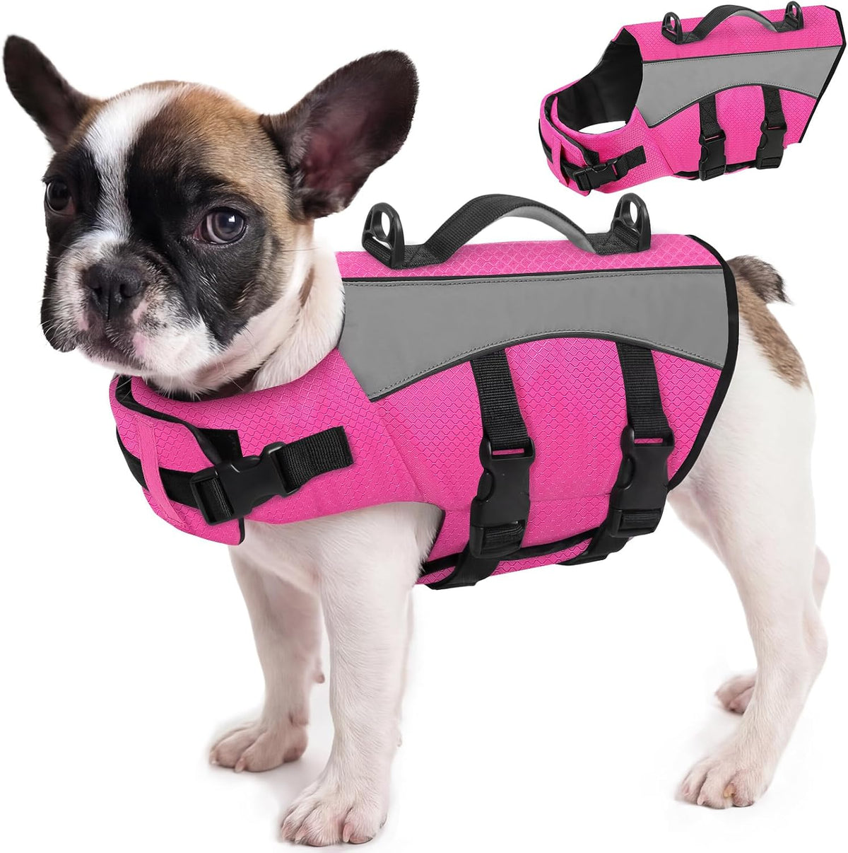 Queenmore Small Dog Life Vest for Swimming with Superior Buoyancy and Rescue Handle, Reflective High Flotation Dog Life Jacket for Spring Summer Pool, Puppy Preserver for Boating, Blue, S - Image 15