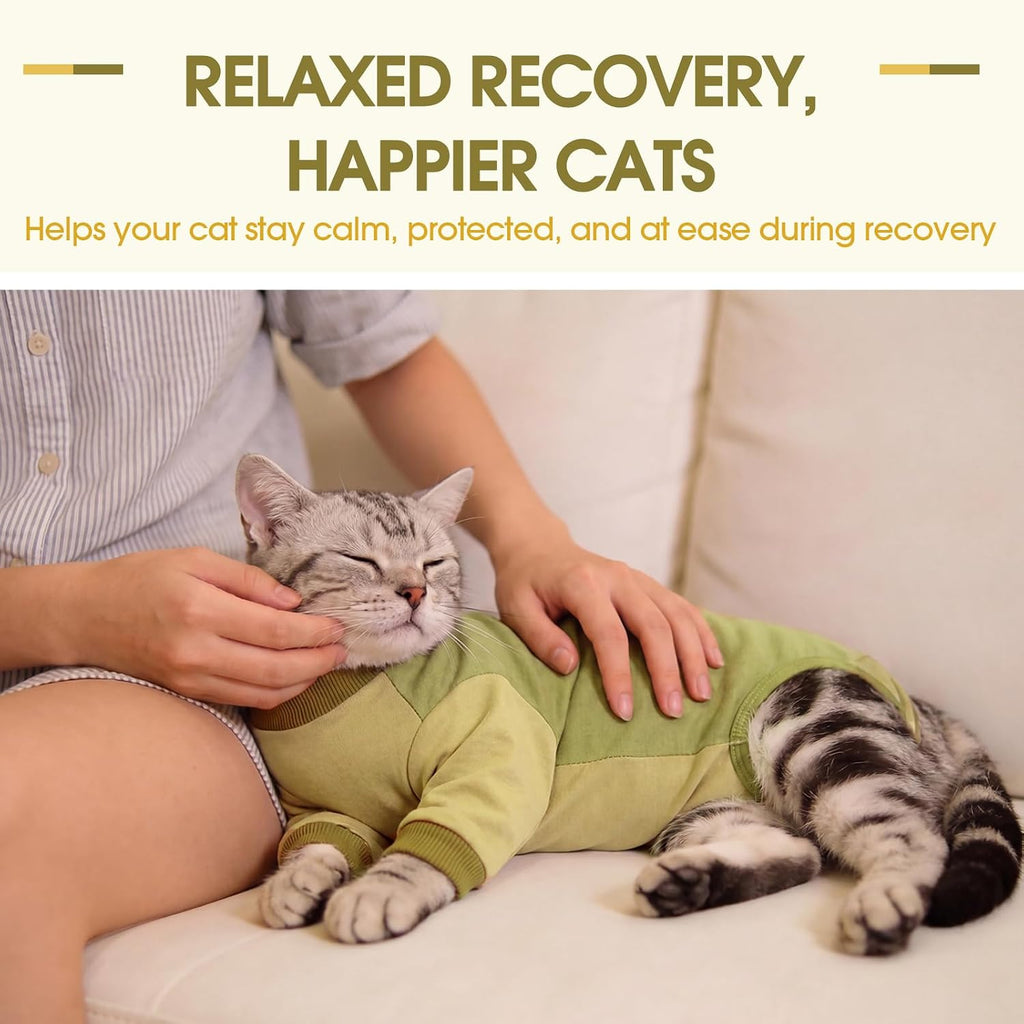 Cat using litter box while wearing recovery suit