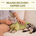 Cat using litter box while wearing recovery suit