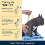 Front and back leash attachment points on dog harness