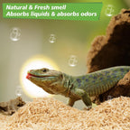 Terrarium setup featuring natural aspen bedding for reptiles