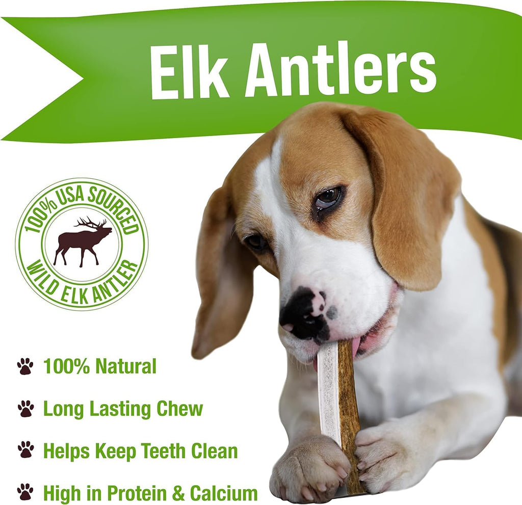 Two natural split elk antler chews for dogs