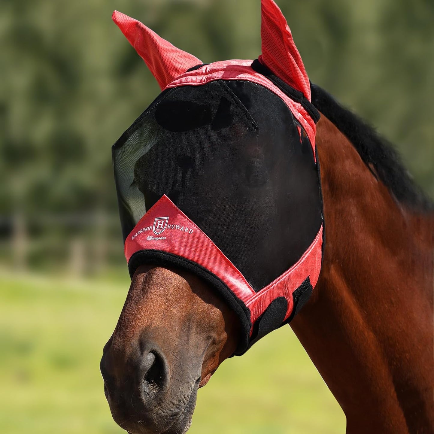 Harrison Howard Horse Fly Mask with Ears, Half Face Fly Mask for Horses, UV Protection, Large Eye Space Teal M - Image 12