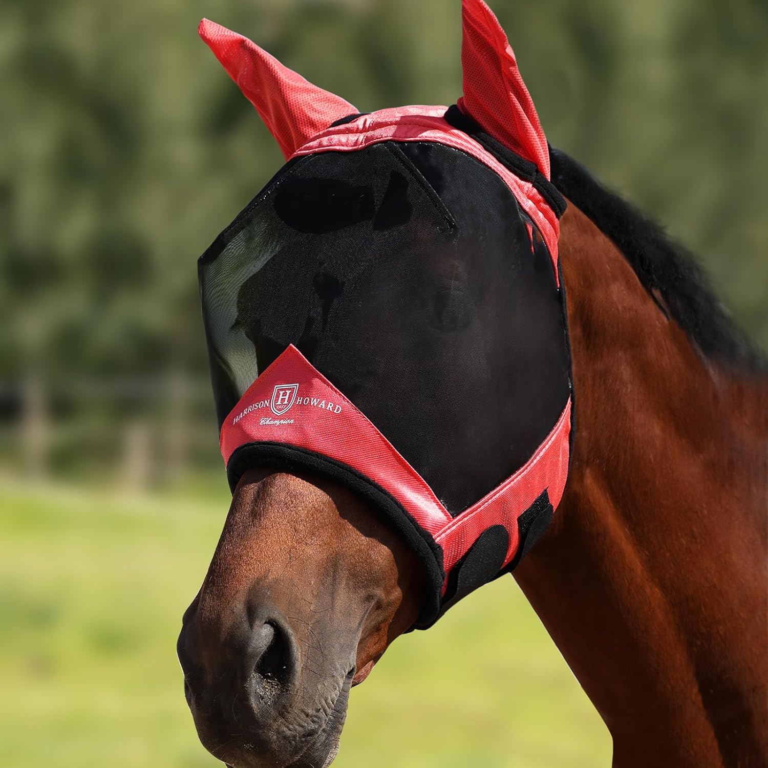 Harrison Howard Horse Fly Mask with Ears, Half Face Fly Mask for Horses, UV Protection, Large Eye Space Teal M - Image 12