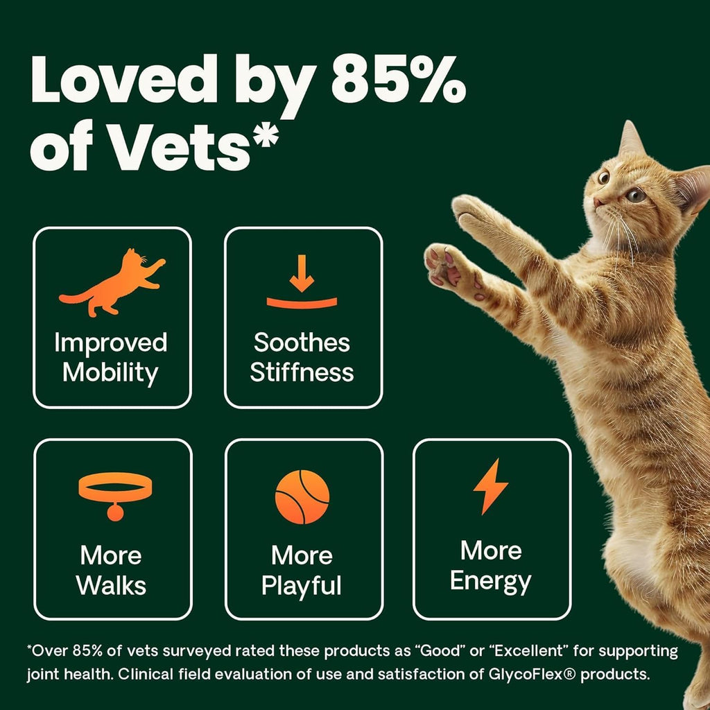 VetriScience imported cat health supplement bottle isolated