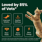 VetriScience cat joint health supplement feeding guide