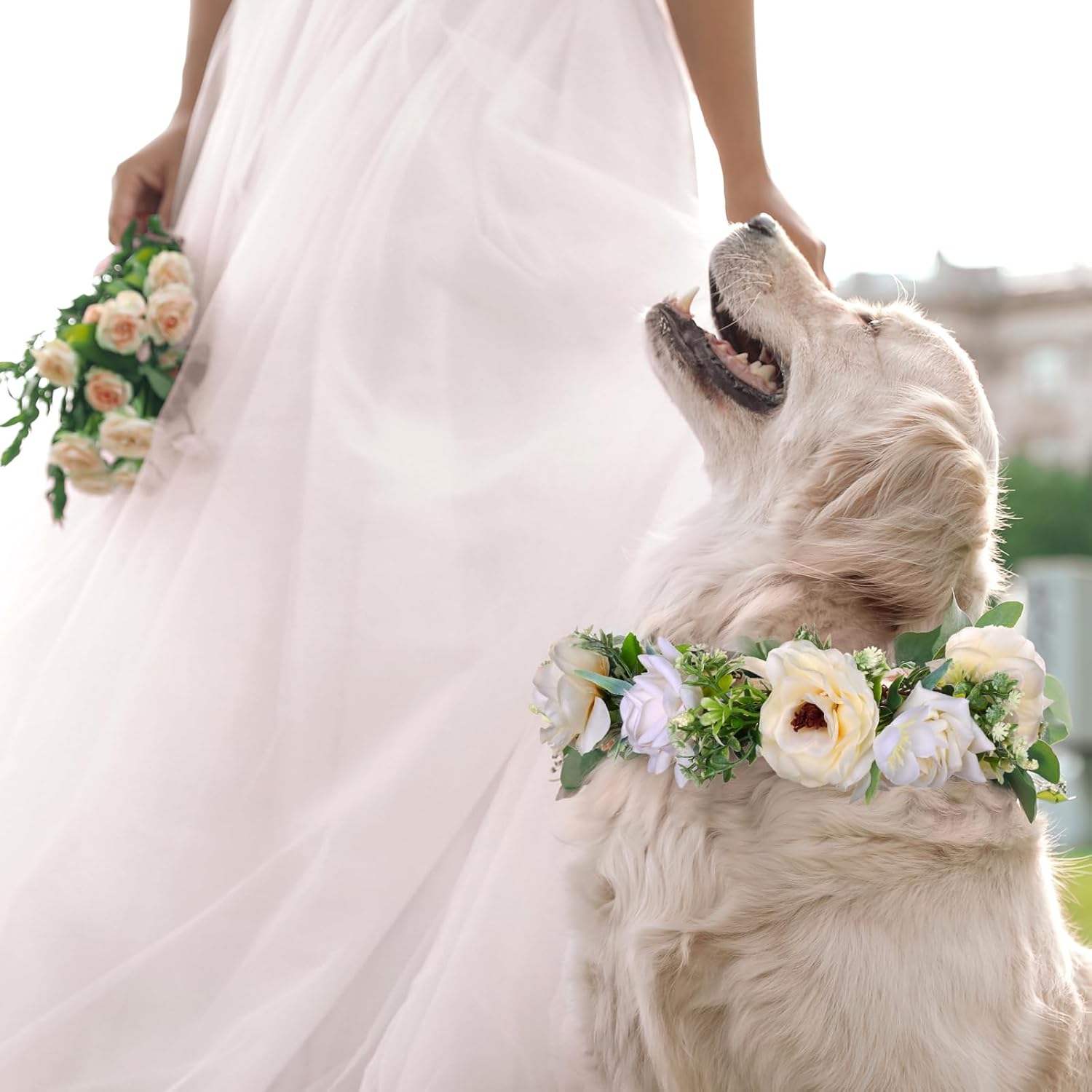 Full wedding pet accessory set including collar and leash