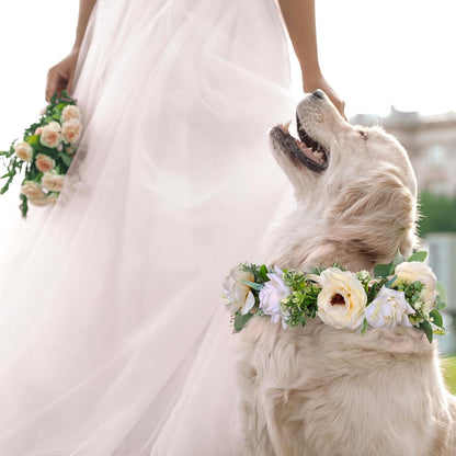 Full wedding pet accessory set including collar and leash