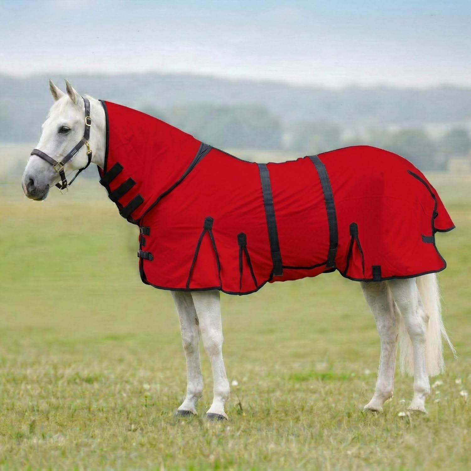 Horse Fly Sheet with Attached Neck Cover & Tail Flap | UV Protection Mesh Horse Blanket, Full Body Bug & Sun Shield, Adjustable Buckles, Belly Wrap & Gussets for Spring Summer Riding Rug - Image 14