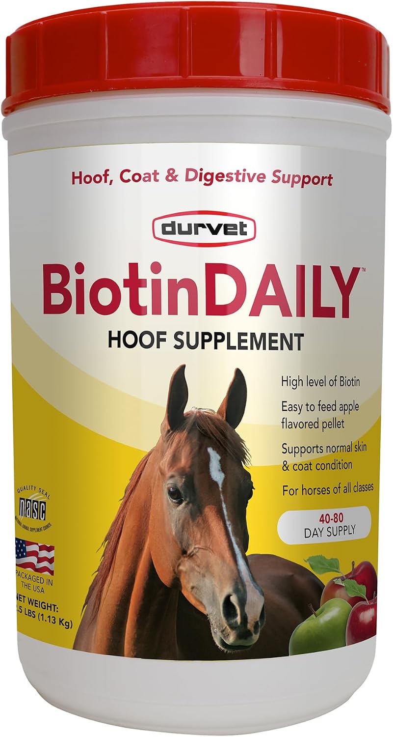 Durvet Biotin Daily horse supplement front view of 2.5 pound jar