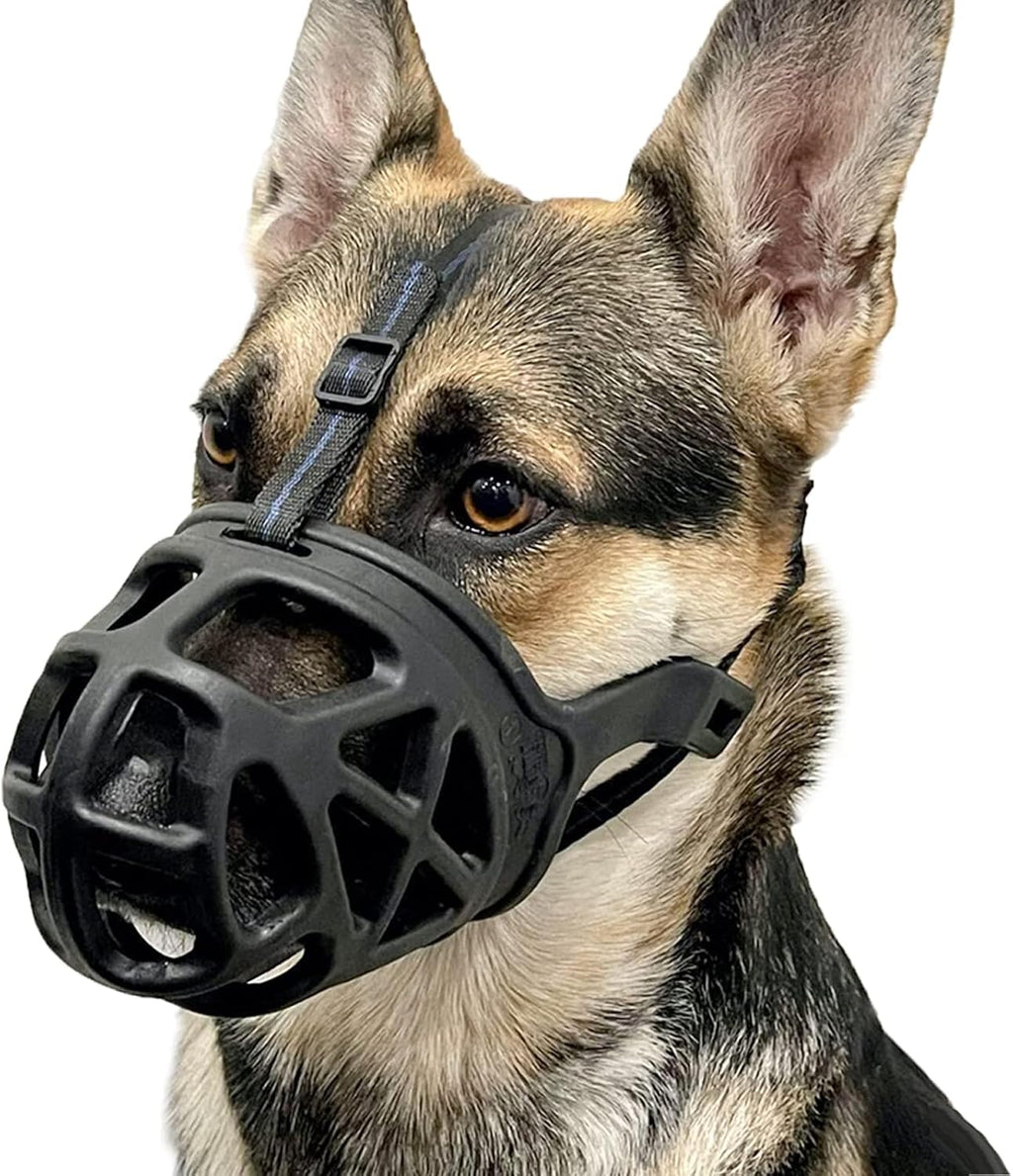Barkless dog basket muzzle front view on a large breed dog showing the black silicone cage structure.
