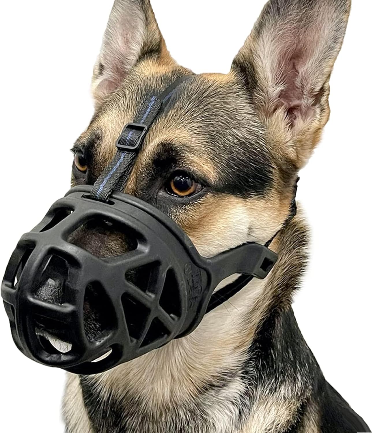 Barkless dog basket muzzle front view on a large breed dog showing the black silicone cage structure.