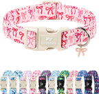 Brand branded storage bag included with pet collar