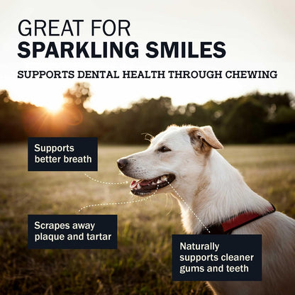 Redbarn USA imported premium quality healthy dog treats for plaque removal