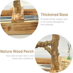 LIMIO Natural Wood Bird Toys Playground, Bird Cage Accessories, Bird Perches, with Removable Tray and 2 Stainless Steel Cups - Image 5