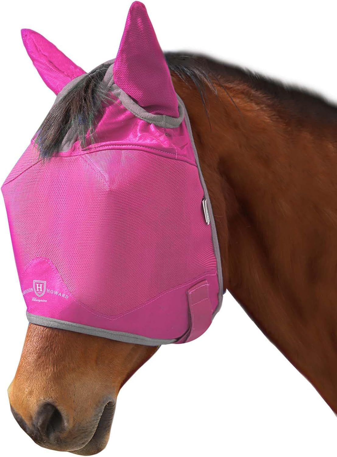 Harrison Howard fly mask showing ear coverage and mesh
