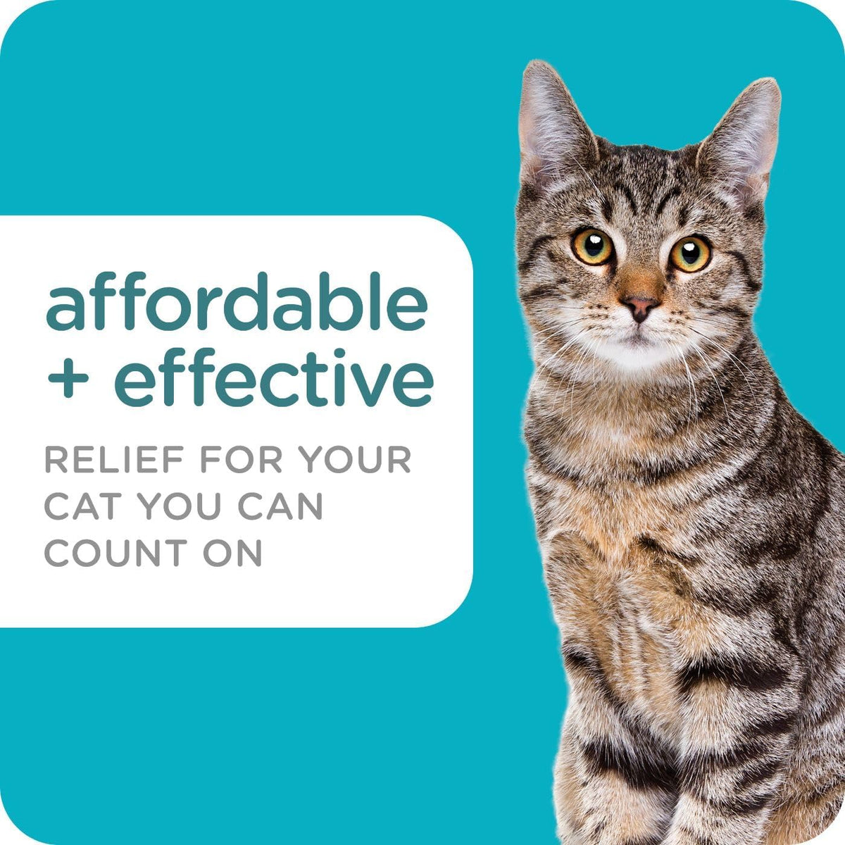 Sergeant's Guardian Pro monthly flea control application tubes illustration