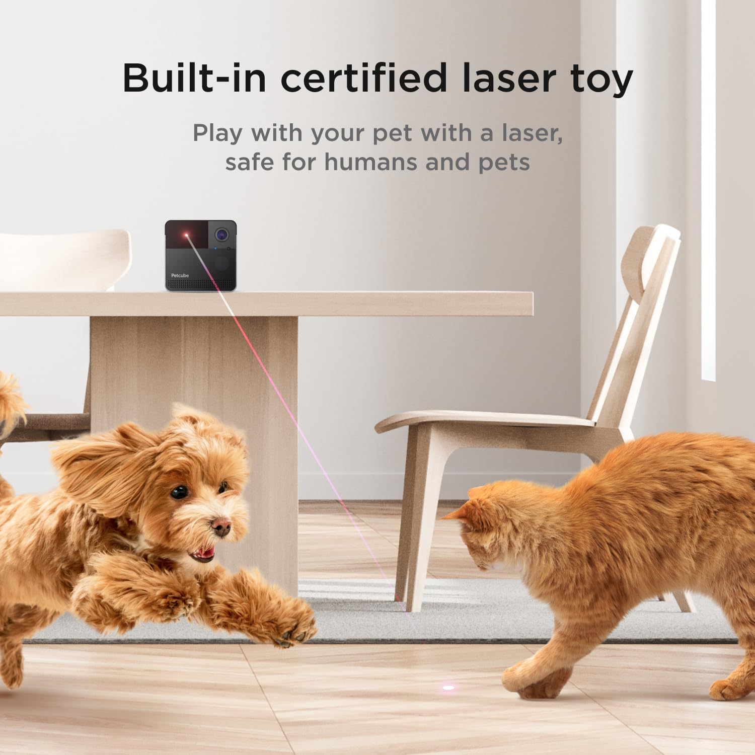 Interactive indoor pet monitor showcasing the 160-degree ultra-wide angle view feature