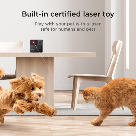 Interactive indoor pet monitor showcasing the 160-degree ultra-wide angle view feature