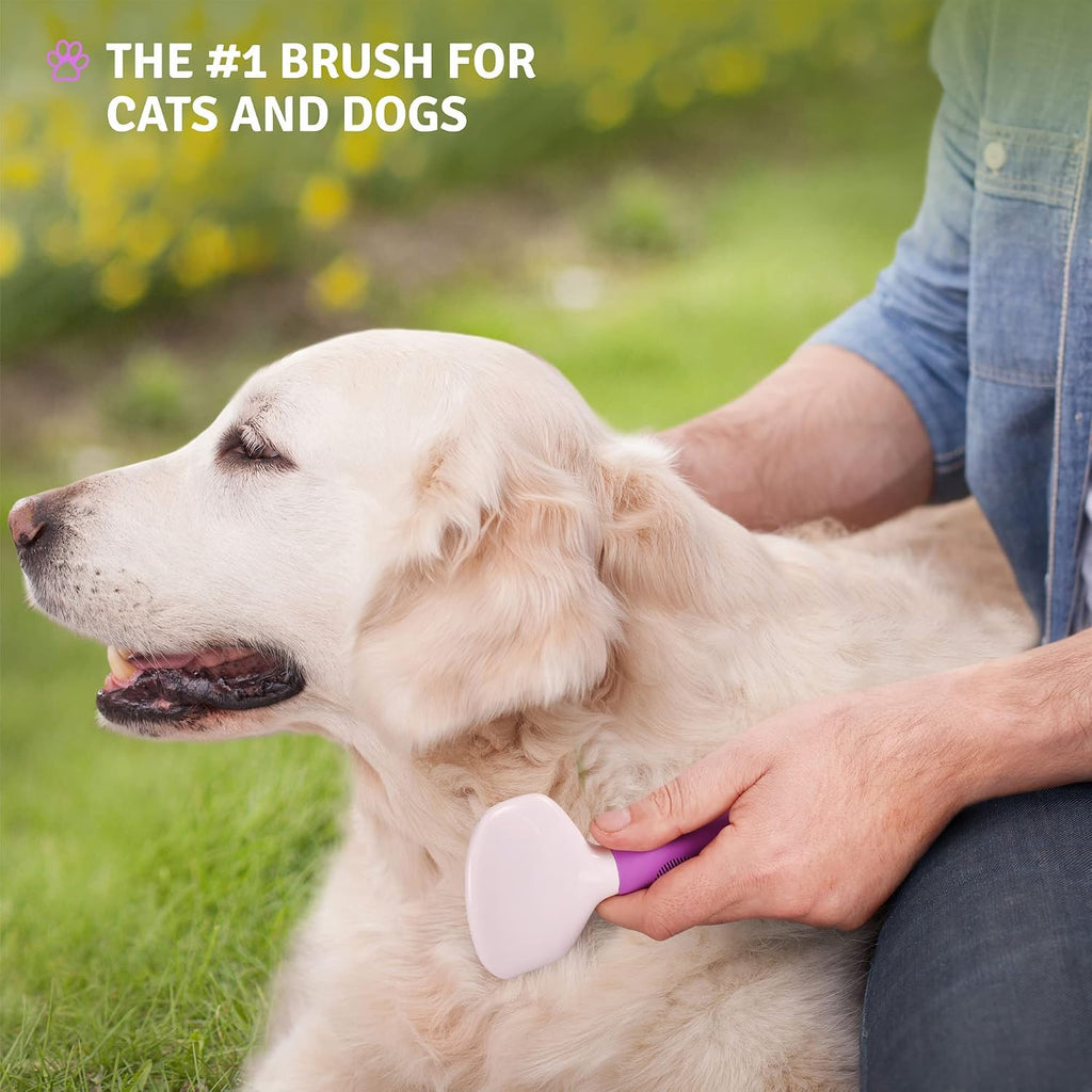 Poodle Pet Bundle - Detangling Pet Comb for Removing Matted Fur, Knots, and Tangles + Dematting Fur Rake Comb Brush for Dogs and Cats + Slicker Brush for Grooming and Deshedding Pet Undercoat Hair - Image 9