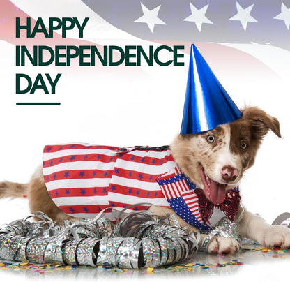 Kuoser patriotic American flag dog suit and bandana set on a Golden Retriever