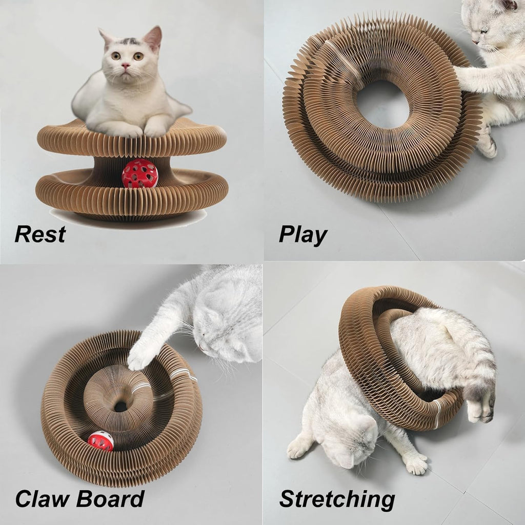 Magic organ cat toy shaped as a circular tunnel