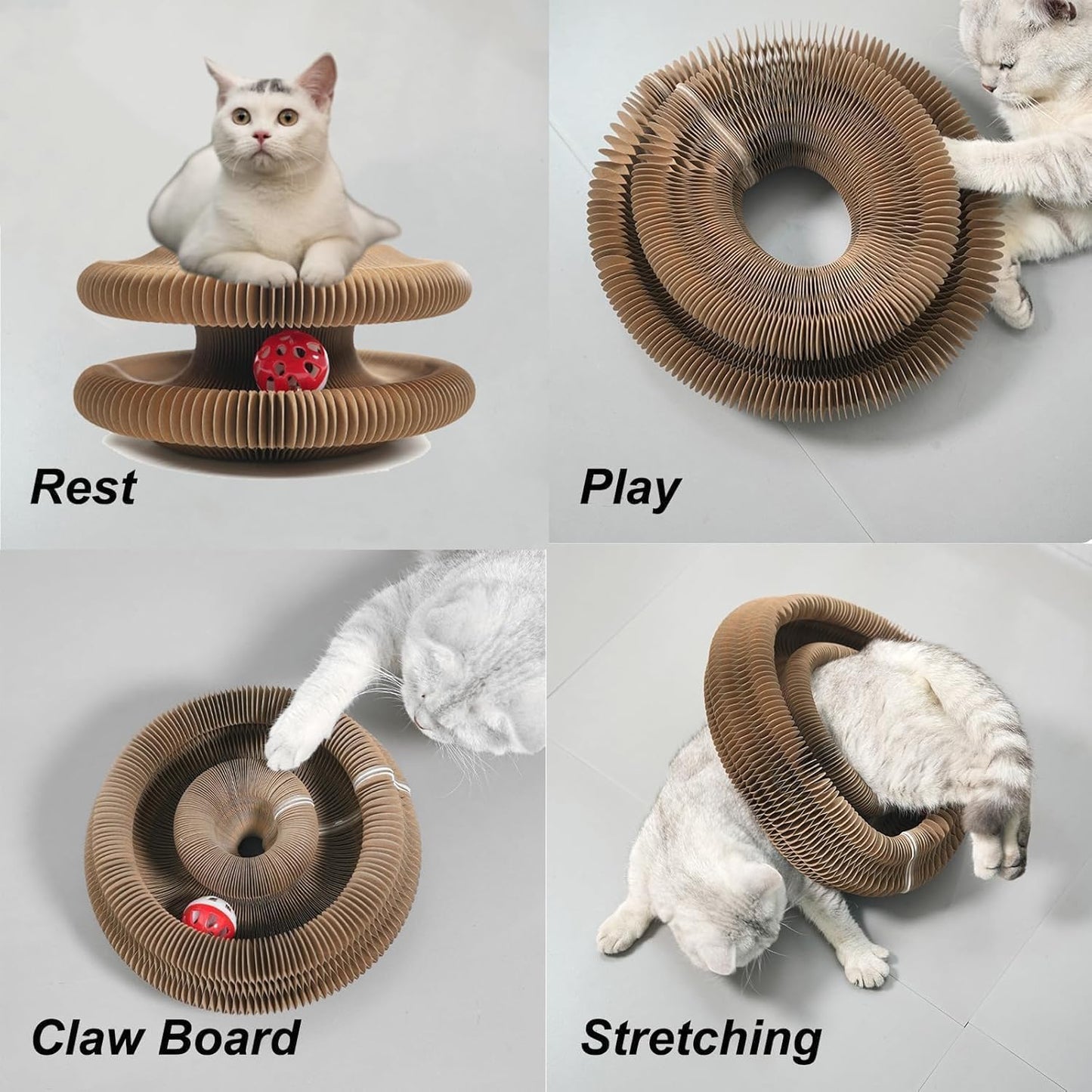 Magic organ cat toy shaped as a circular tunnel