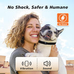 Guidoy anti-bark collar components and USB charging cable