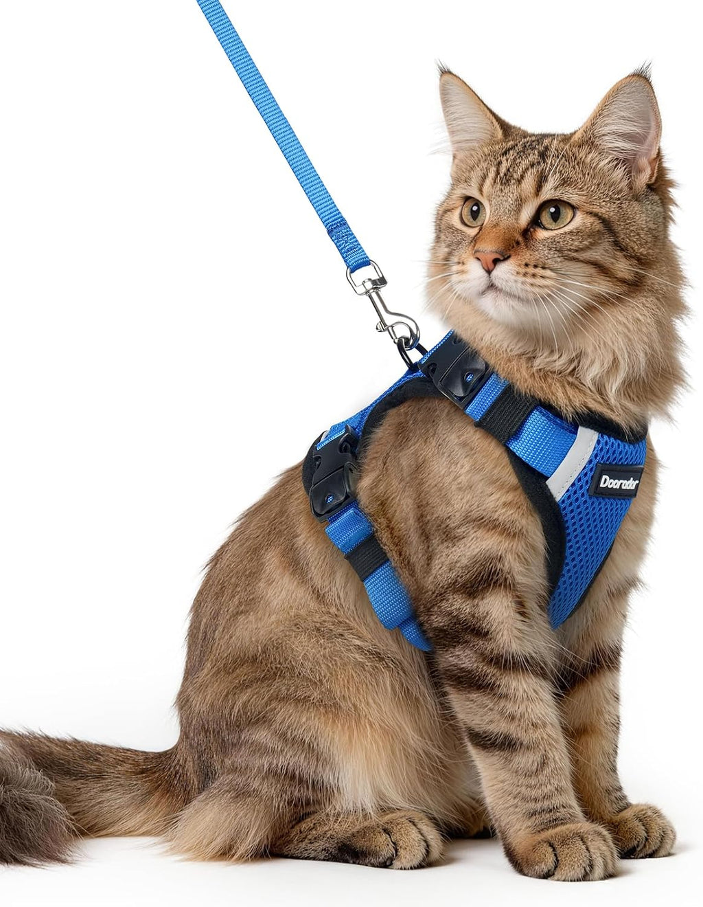 Dooradar Cat Harness and Leash Set, Escape Proof Soft with 3 Adjustable Buckles, Comfortable Vest Easy to Wear Kitten Harness with Reflective Strip, Safe for Outdoor Walking, Black, S - Image 14