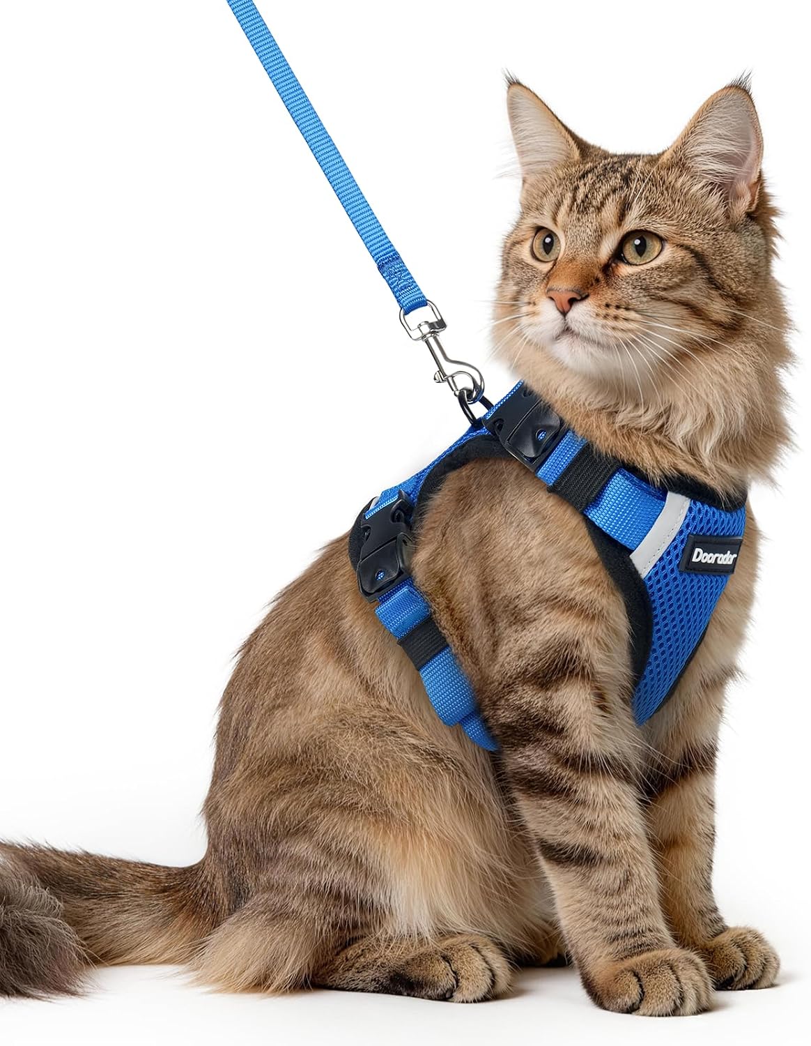 Dooradar Cat Harness and Leash Set, Escape Proof Soft with 3 Adjustable Buckles, Comfortable Vest Easy to Wear Kitten Harness with Reflective Strip, Safe for Outdoor Walking, Black, S - Image 14
