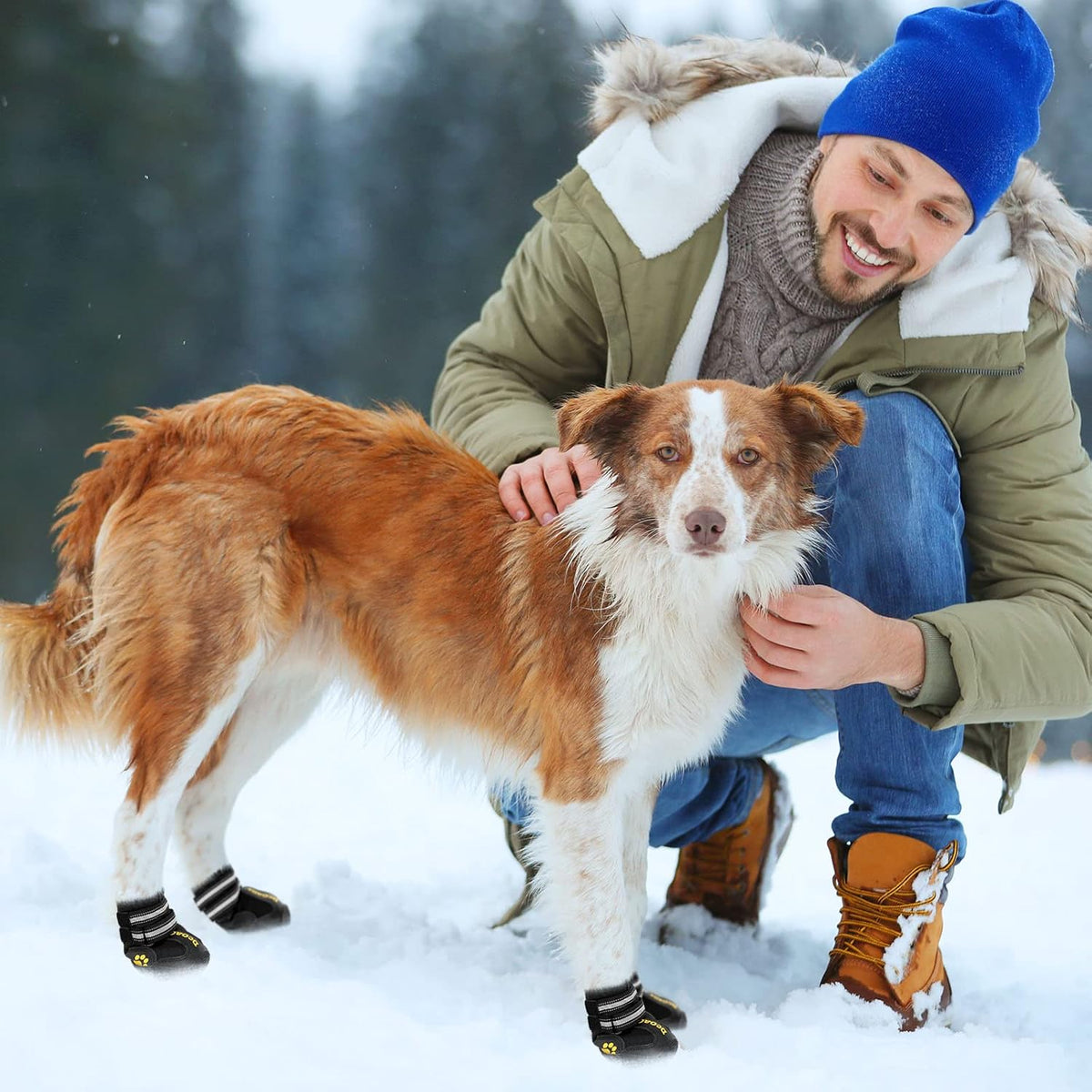 Dog wearing DcOaGt paw protectors on outdoor path