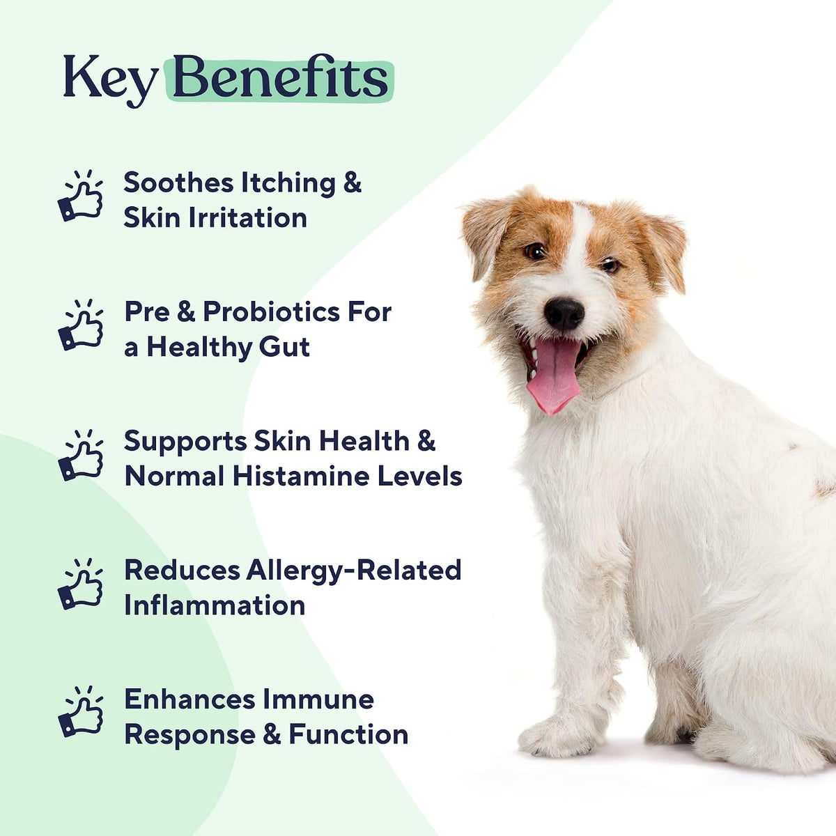 Pawfy turkey flavored allergy relief soft chews for dogs experiencing seasonal skin scratching