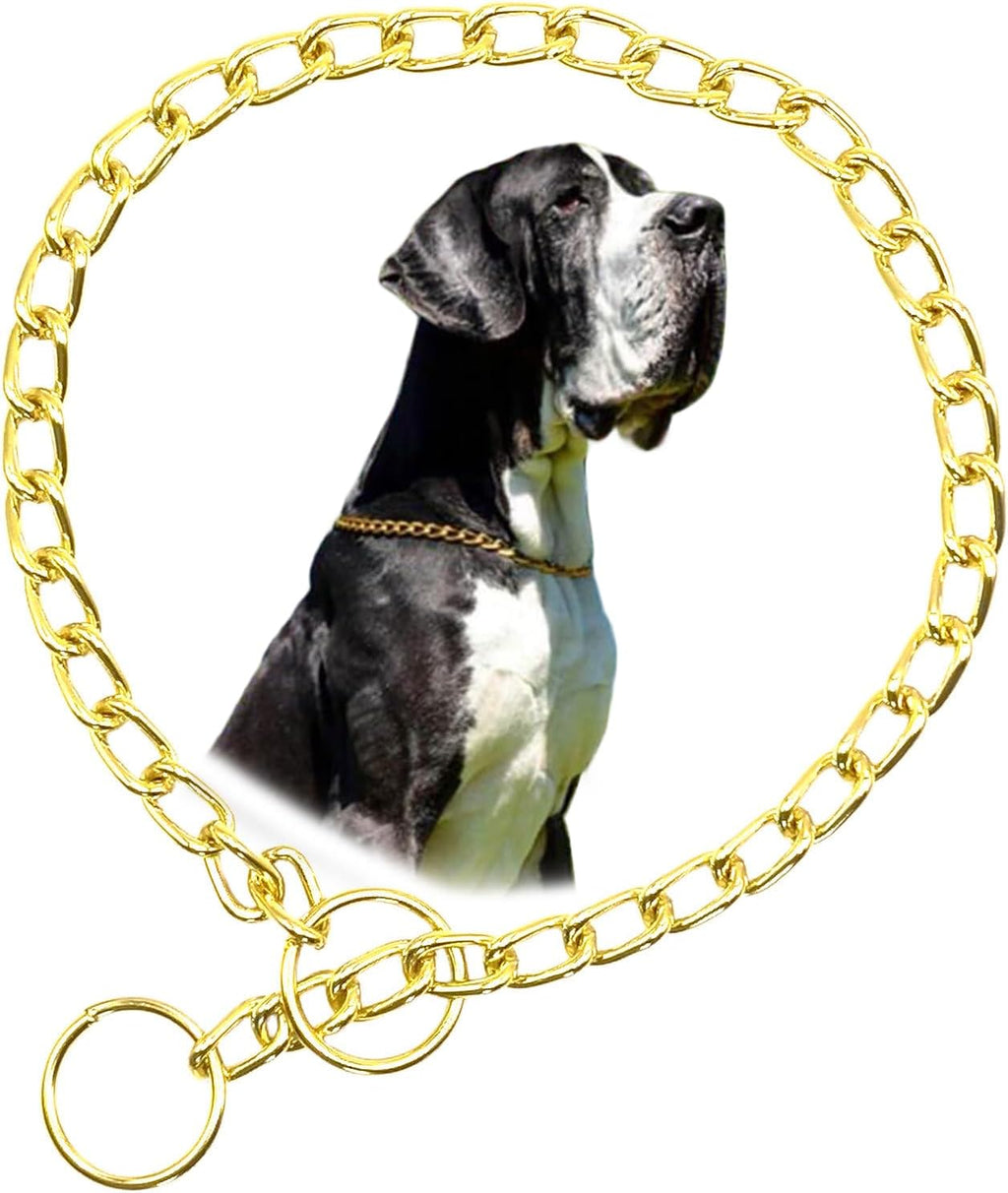 A medium breed dog safely wearing the Youalso silver metal training collar during a walk