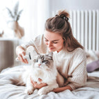 Authentic USA imported Pecait white 3 in 1 steam brush packaging layout and pet grooming accessories.