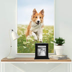 BRKURLEG pet memorial box packaging and product presentation