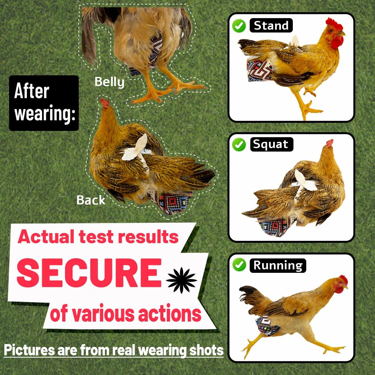 Indoor chicken wearing Revoloza reusable cloth harness side view