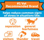 ThunderEase canine calming spray package design highlighting travel stress solution