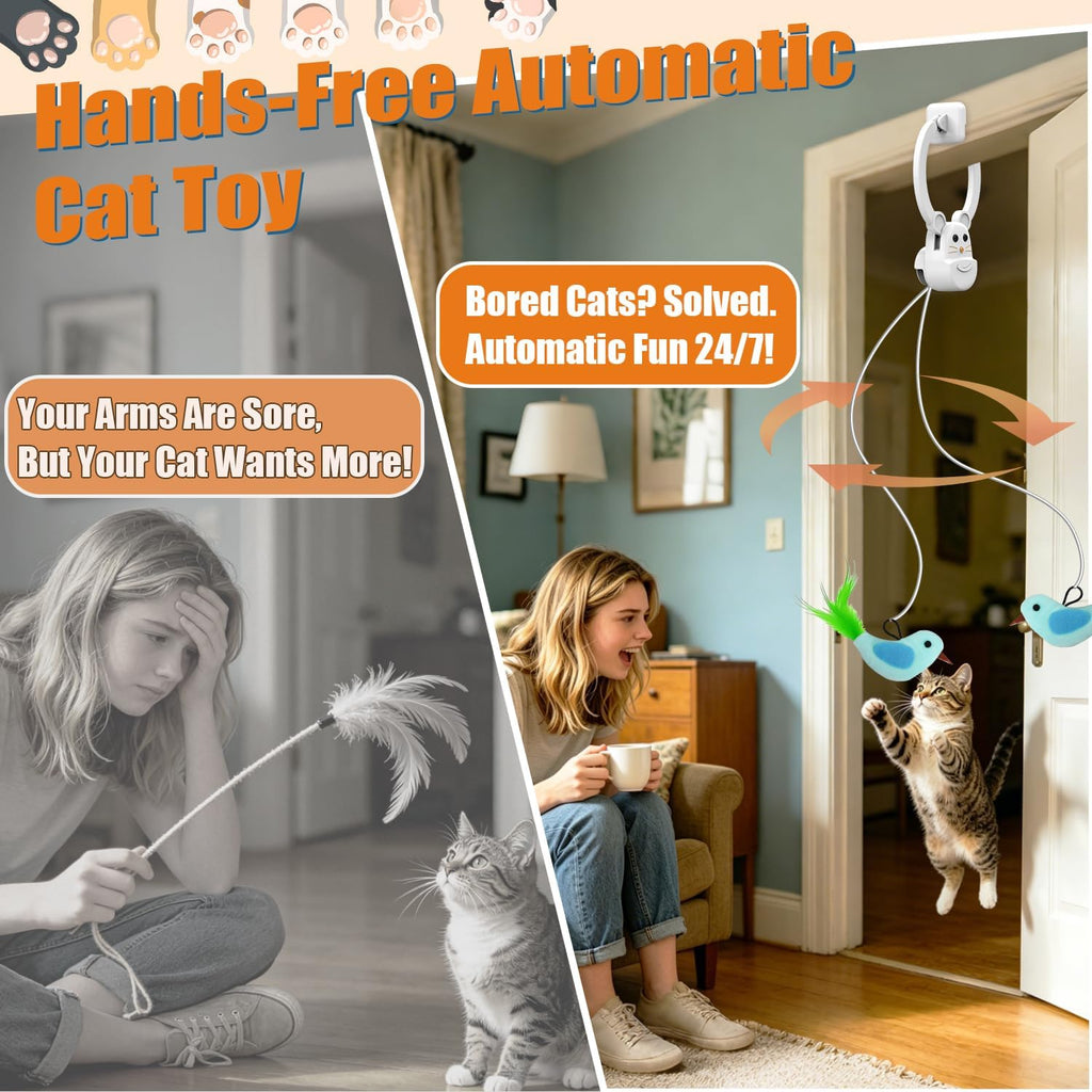 Indoor cat jumping to chase the automatic hanging retractable kitten toy.