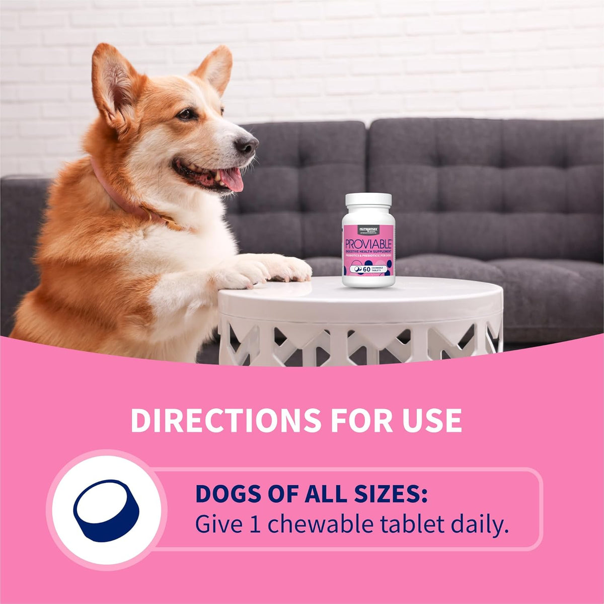 Multi strain dog probiotics packaging showing five billion colony forming units.