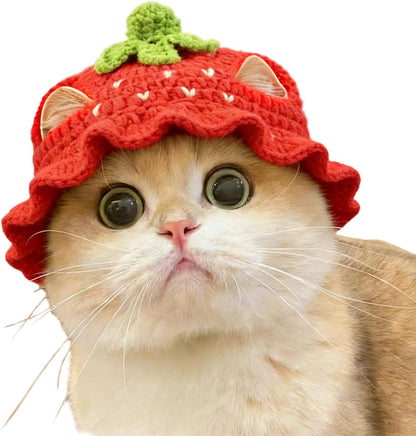 Floofelove Strawberry Cat Hat front view on pet