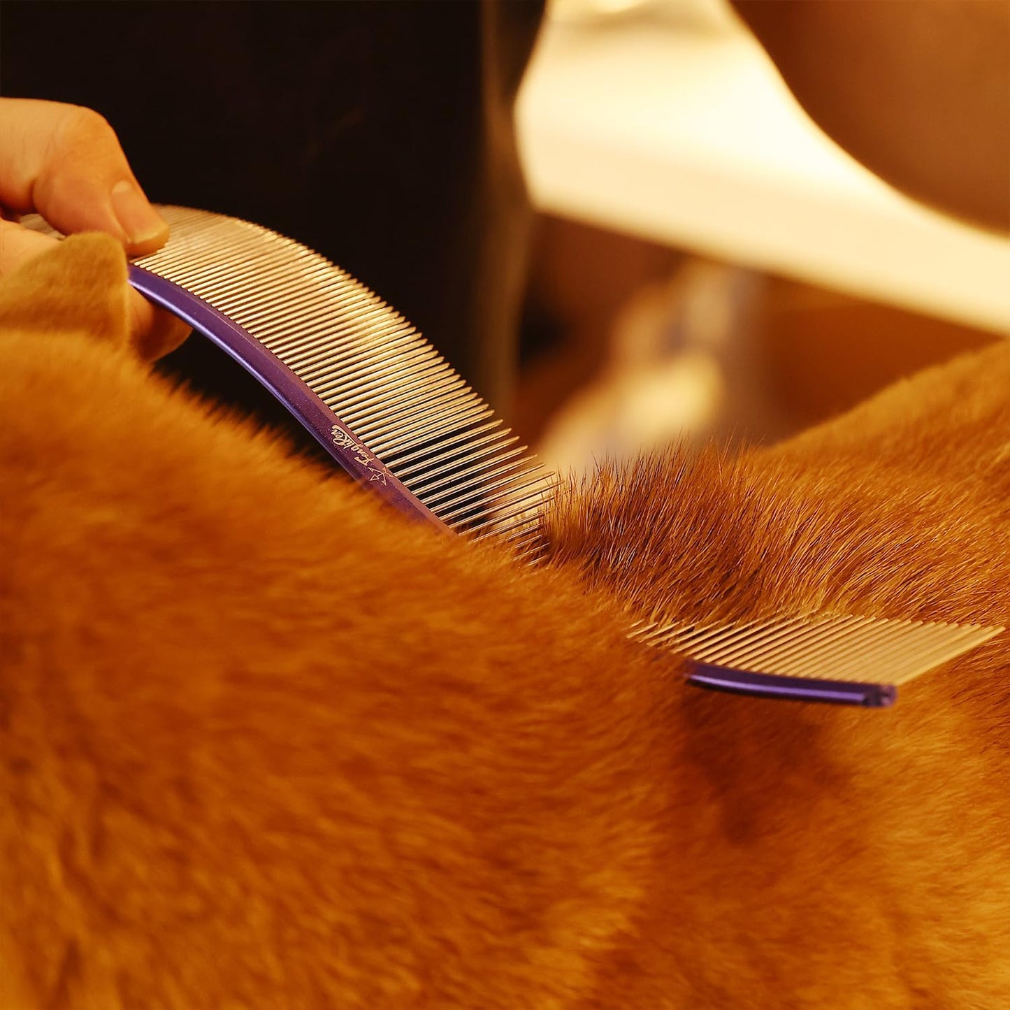 Fengliren pet comb packaging and design