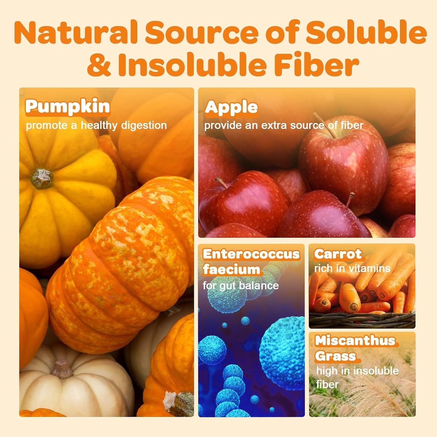 Zebora Pumpkin powder texture and scoop