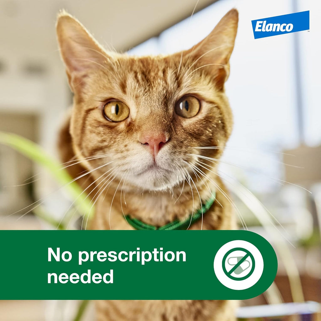 Advantage flea protection for large cats application area guide image