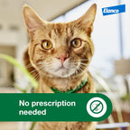 Advantage flea protection for large cats application area guide image