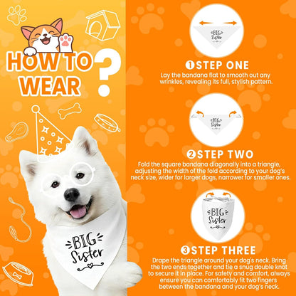 Couple holding hands with a small dog wearing a baby announcement bandana.