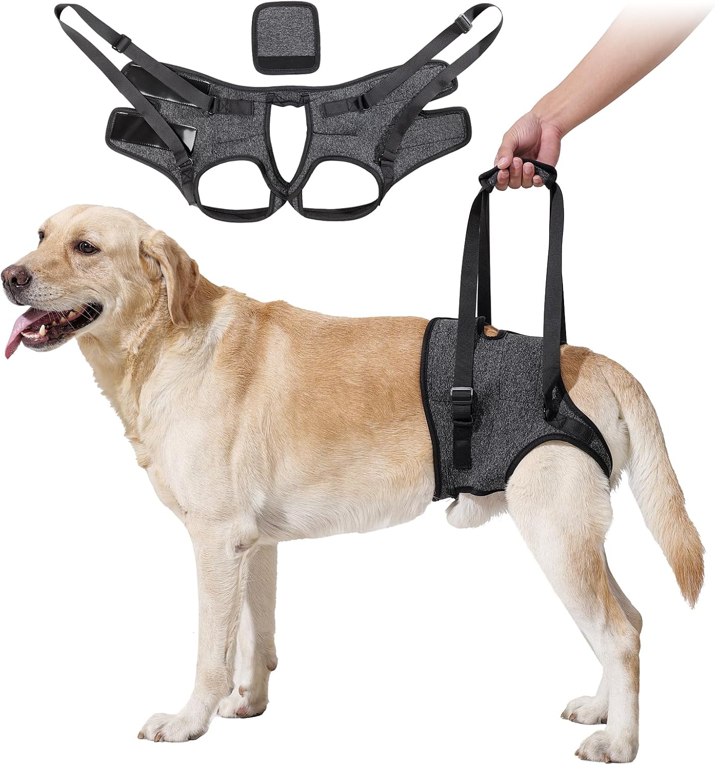 Heywean dog sling for large dogs hind leg support harness front view