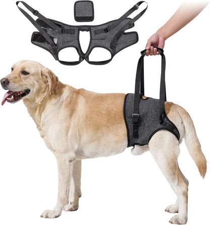 Heywean dog sling for large dogs hind leg support harness front view