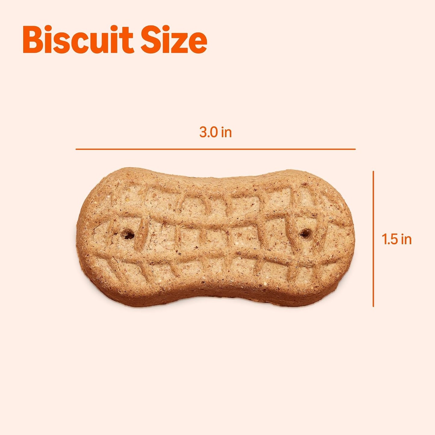 Premium imported USA dog treats in a large 5 pound economy box