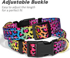 Durable metal D-ring attachment on leopard print collar